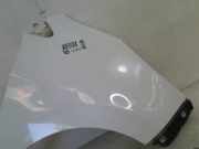 Kotflügel Rechts Vorne Kia Picanto (TA) Schrägheck 1.2 16V (G4LA5) 2011-11