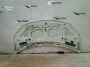 Motorhaube Renault Twingo II (CN) Schrägheck 3-drs 1.2 16V (D4F-764(D4F-E7)) 2011-09