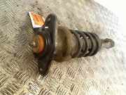 Federbein Rechts Hinten Mini Mini Open (R52) Cabrio 1.6 16V One (W10-B16A) 2004-12