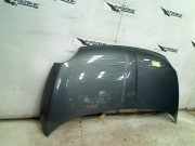 Motorhaube Fiat 500 (312) Schrägheck 0.9 TwinAir 85 (312.A.2000) 2013-04