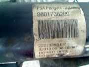 Federbein Links Vorne 9672655880 Citroën C3 (SC) Schrägheck 5-drs 1.6 HDi 92 (DV6DTED(9HP)) 2013-12