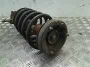 Federbein Links Vorne BMW X5 (E53) SUV 3.0 24V (M54-B30) 2002-07