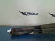 Stoßdämpferset Hinten Mercedes-Benz Vito (447.6) Van 2.2 116 CDI 16V (OM651.950) 2015-10