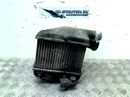 Ladeluftkühler Nissan Primera (P12) Schrägheck 1.9 dCi (F9Q) 2002-07 Bild Ladeluftkühler Nissan Primera (P12) Schrägheck 1.9 dCi (F9Q) 2002-07