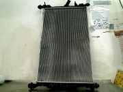 Radiator Ford Transit Van 2.0 TDCi 16V Eco Blue 105 RWD (YLR6) 2020-01