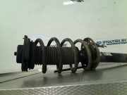 Federbein Links Vorne Volkswagen Caddy III (2KA,2KH,2CA,2CH) Van 1.6 TDI 16V (CAYE) 2015-04 CAYE