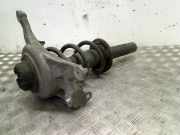 Federbein Links Vorne Audi A4 Avant (B8) Kombi 3.0 TDI 245 V6 24V Quattro (CDUC) 2008-08
