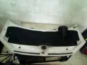 Motorhaube Volkswagen Crafter (SY) Van 2.0 TDI FWD (DAUA) 2017-10 DAUA