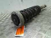 Stoßdämpfer Links Hinten BMW 5 serie (E60) Limousine 530d 24V (M57N-D30(306D2)) 2004-09
