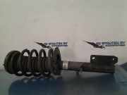 Federbein Rechts Vorne 22119261 BMW X5 (E53) SUV 3.0d 24V (M57N(306D4)) 2004-01