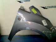 Kotflügel Rechts Vorne Ford Ka II Schrägheck 1.2 (169.A.4000(Euro 4) 2009-03
