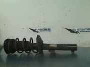 Federbein Rechts Vorne 824903016582 Volkswagen Polo VI (AW1) Schr?gheck 5-drs 1.0 TSI 12V (CHZL) 2018-05 CHZL