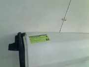 Hintertür Rechts Fiat Doblo Cargo (263) Van 1.3 D Multijet (263.A.2000) 2011-03