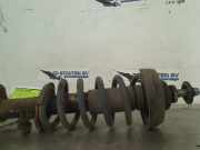 Federbein Links Vorne Renault Trafic New (FL) Van 2.0 dCi 16V 115 (M9R-692(M9R-F6)) 2013-01