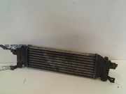 Ladeluftkühler Ford Fusion Kombi 1.6 TDCi (HHJA(Euro 3)) 2006-05