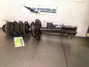 Federbein Links Vorne 51904413 Lancia Ypsilon (312) Schrägheck 0.9 TwinAir 85 (312.A.2000(Euro 5)) 2011-12