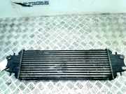 Ladeluftkühler Nissan Primastar Bus 1.9 dCi 80 (F9Q-762) 2004-07