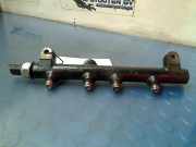 Einspritzdüsen Düsenstock A6640700295 SsangYong Actyon Sports II Pick-up 2.0 Xdi 16V 2WD (D20DTR) 2007-04