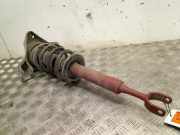 Federbein Links Vorne Audi A6 Avant (C5) Kombi 2.5 TDI V6 24V (AKN) 2001-03