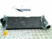 Ladeluftkühler 1035048 Mercedes-Benz ML I (163) SUV 400 4.0 CDI V8 32V (OM628.963) 2002-01