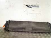 Ladeluftkühler 874806M Renault Master II (FD/HD) Van 2.5 dCi 120 FAP (G9U-650) 2007-05