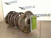 Federbein Links Vorne Land + Range Rover Range Rover Evoque (LVJ/LVS) SUV 2.2 SD4 16V (224DT(DW12BTED4)) 2011-11