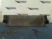 Ladeluftkühler A9065010201 Mercedes-Benz Sprinter 3,5t (906.63) Van 319 CDI,BlueTEC V6 24V (OM642.992) 2016-04