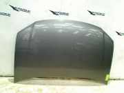 Motorhaube Volkswagen Touran (1T1/T2) Großraumlimousine 1.9 TDI 105 (BLS) 2009-09 BLS