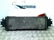 Ladeluftkühler Nissan Primastar Bus 1.9 dCi 80 (F9Q-762) 2006