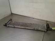 Radiator 214108831R Dacia Dokker Express (8S) Van 1.5 Blue dCi 95 (K9K-872(K9K-U8)) 2020-02