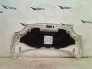Motorhaube Fiat 500 (312) Schrägheck 1.2 (169.A.4000(Euro 5)) 2008-05