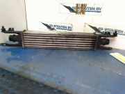 Ladeluftkühler 872051000 Opel Corsa D Schrägheck 1.3 CDTi 16V ecoFLEX (A13DTE(Euro 5)) 2012-03