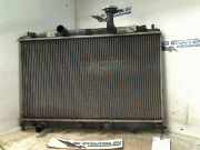 Radiator Hyundai Accent Schrägheck 1.4i 16V (G4EE) 2007-06