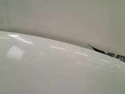 Motorhaube Volkswagen Eos (1F7/F8) Cabrio 2.0 TDI 16V (CFFB(Euro 5)) 2011-02 CFFB(Euro 5)