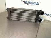 Ladeluftkühler 9800291280 Peugeot Partner (GC/GF/GG/GJ/GK) Van 1.6 HDI, BlueHDI 75 (DV6FE(BHW)) 2017-01