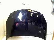 Motorhaube Opel Insignia Limousine 1.6 16V Ecotec (A16XER(Euro 5)) 2009-04