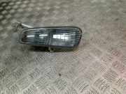 Blinker Links Fiat Punto Evo (199) Schrägheck 1.3 JTD Multijet 85 16V (199.B.4000(Euro 5)) 2012-04