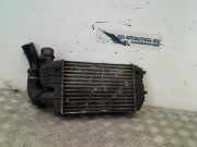 Ladeluftkühler Peugeot Boxer (244) Van 2.2 HDi (DW12TED(4HY)) 2002
