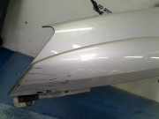 Kotfl?gel Links Vorne kraseen Kia Sportage (JE) Gel?ndewagen 2.0 CVVT 16V 4x2 (G4GC) 2006-07