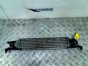 Ladeluftkühler Fiat Grande Punto (199) Schrägheck 1.3 JTD Multijet 16V 85 Actual (199.B.4000) 2011