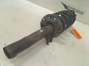 Federbein Links Vorne Seat Leon (1P1) Schrägheck 5-drs 1.9 TDI 105 (BKC) 2005-10