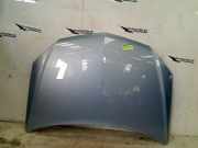 Motorhaube Opel Tigra Twin Top Cabrio 1.4 16V (Z14XEP(Euro 4)) 2005-06