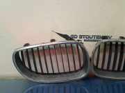 Grill 10627110 BMW 5 serie (E60) Limousine 530d 24V (M57N-D30(306D2)) 2003-09