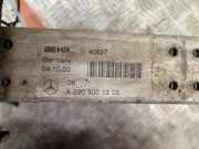 Elektrolufter A2205001203 Mercedes-Benz CL (215) Coupé 5.8 CL-600 V12 36V (M137.970) 2000-11