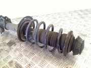 Federbein Links Vorne 4852052430 Toyota Verso S Großraumlimousine 1.33 16V Dual VVT-I (1NRFE) 2011-08