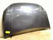 Motorhaube Volkswagen Polo VI (AW1) Schrägheck 5-drs 1.0 TSI 12V (DLAA) 2021-11 DLAA