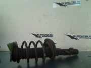 Federbein Links Vorne Ford Focus 3 Schrägheck 1.6 EcoBoost 16V (JQDA(Euro 5)) 2011-03