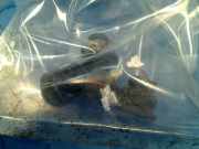 Pdc Sensor Set Mazda 5 (CR19) Großraumlimousine 2.0i 16V (LFF7) 2009