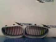 Grill 10627110 BMW 5 serie (E60) Limousine 530d 24V (M57N-D30(306D2)) 2003-09