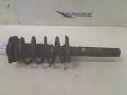 Federbein Links Vorne Seat Leon (1P1) Schrägheck 5-drs 1.9 TDI 105 (BKC) 2005-10